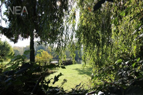 View Full Details for Mill Green, Caversham, Reading