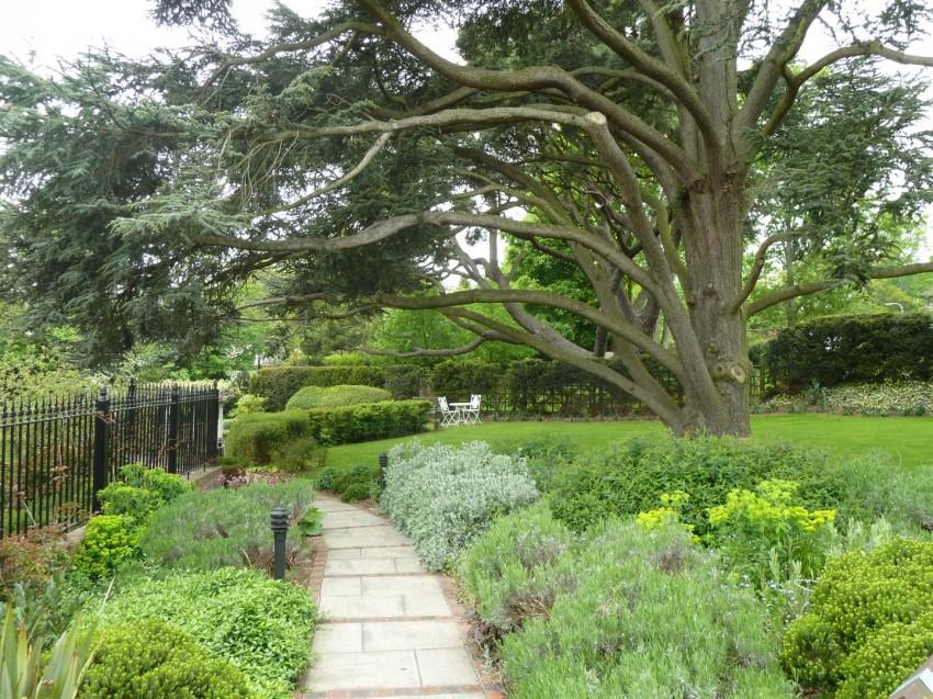 Images for Treetops, Caversham, Reading