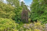 Images for Coopers Pightle, Kidmore End, Reading