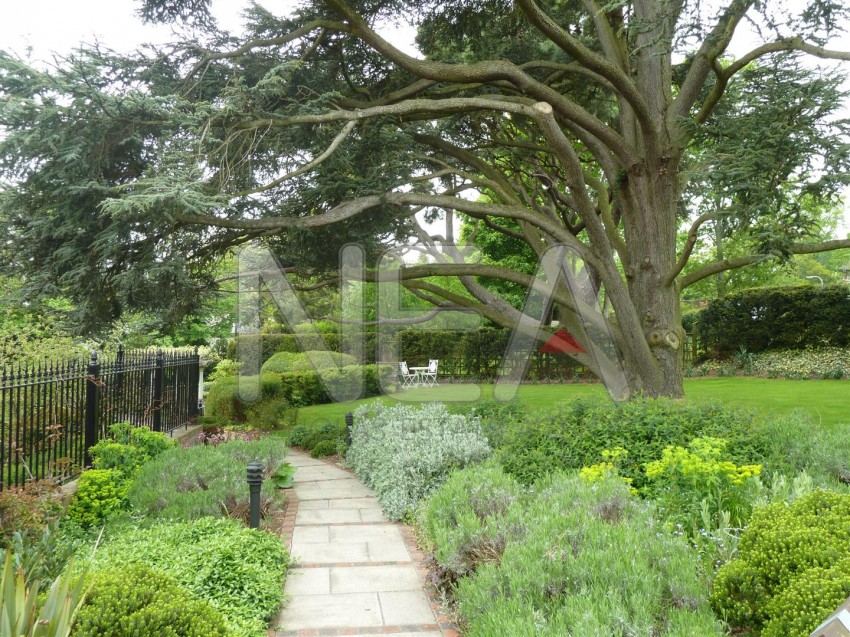 Images for Treetops, Caversham, Reading