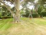 Images for Treetops, Caversham, Reading