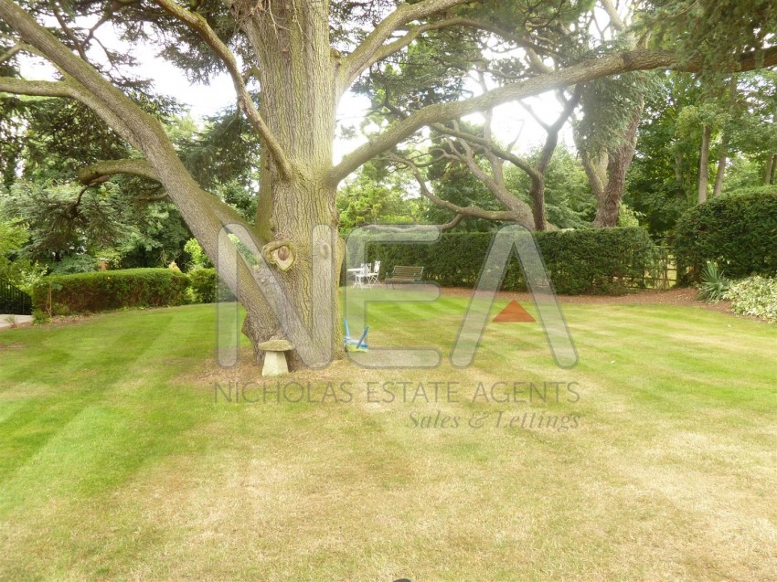 Images for Treetops, Caversham, Reading